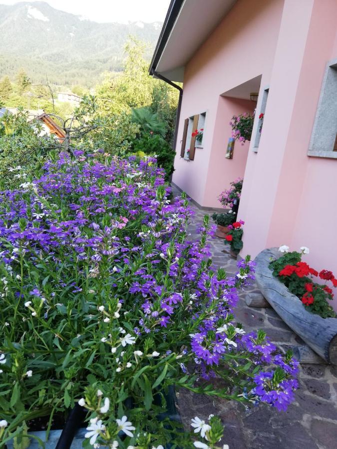 Apartament El Campizol Drena Zewnętrze zdjęcie