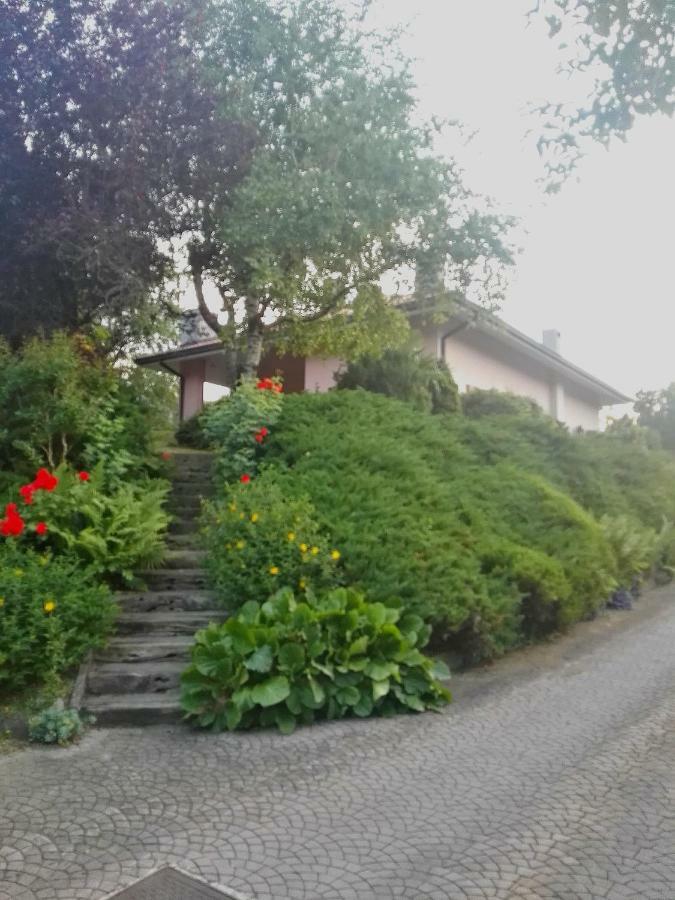 Apartament El Campizol Drena Zewnętrze zdjęcie