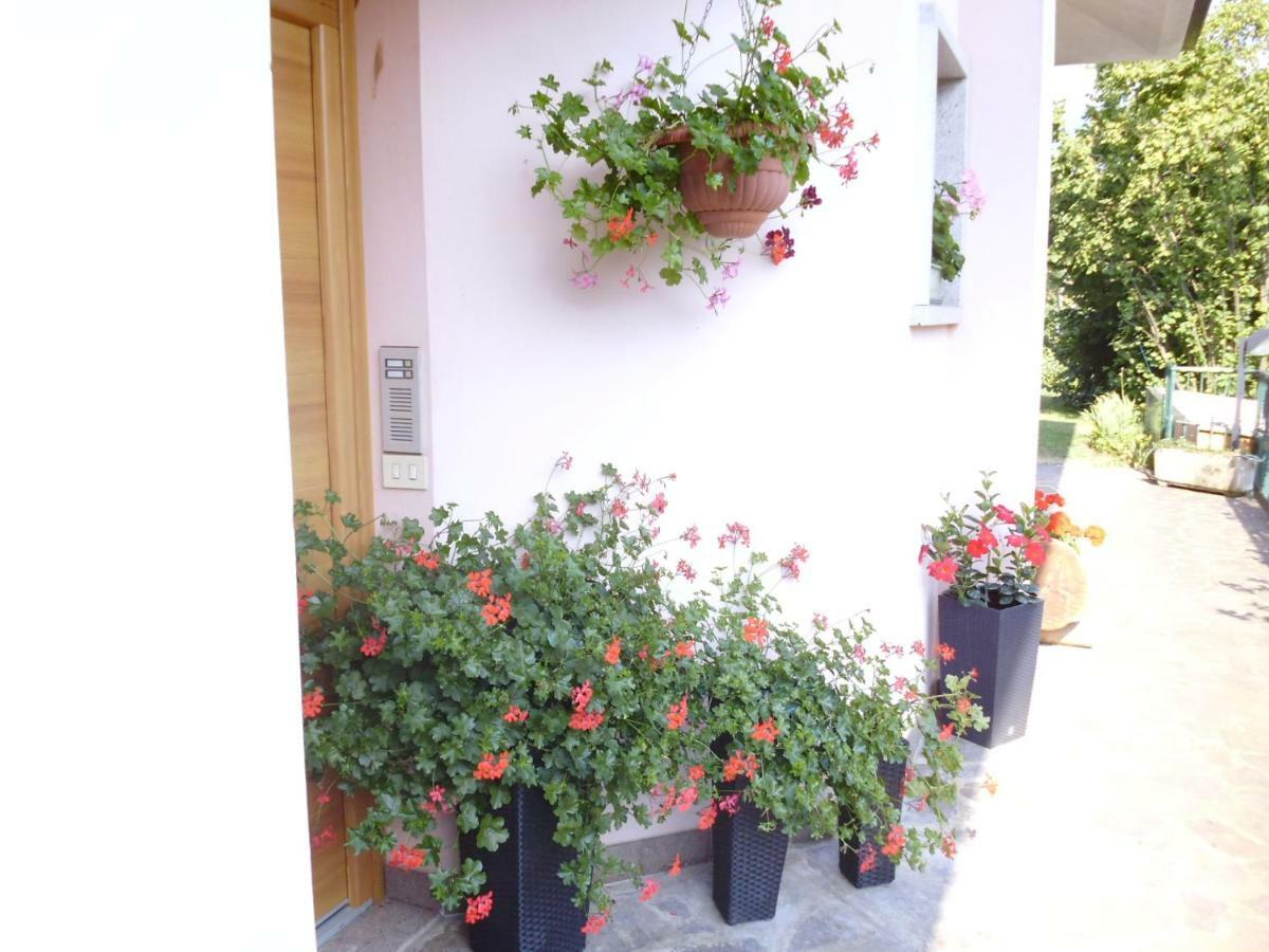 Apartament El Campizol Drena Zewnętrze zdjęcie